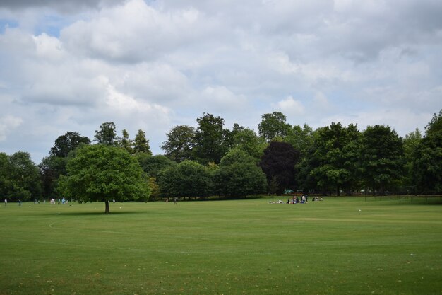 흐린 하늘 아래 영국 옥스포드의 잔디밭에서 휴식하는 사람들