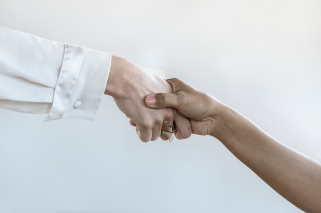 People shaking hands in business agreement