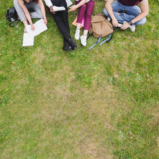 People sitting on grass studying