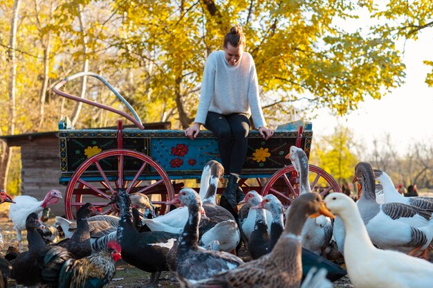 People taking care of the farm