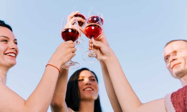 People toasting wine in the sunlight