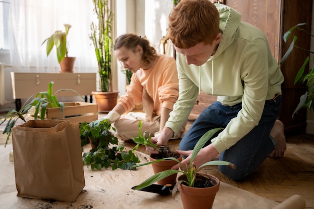 新しい鉢に植物を移植する人々