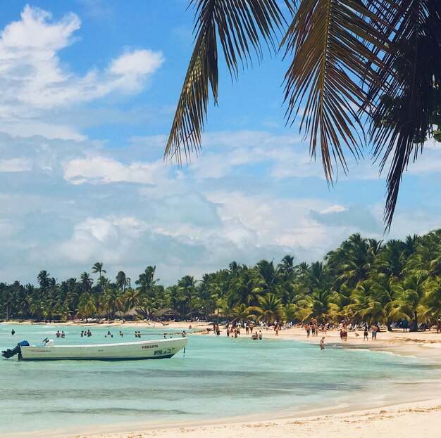 People walk on golden beach with palms before turquoise water