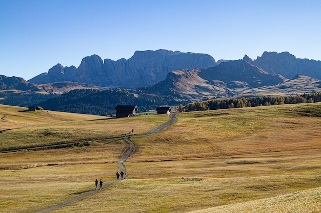 People walking on a pathway in the middle of grassy fields with buildings in the distance