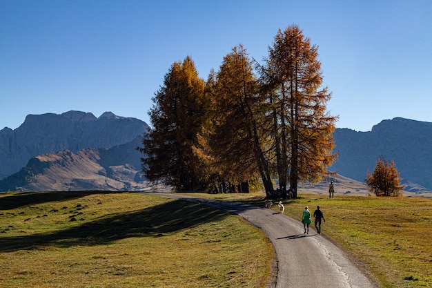 People walking on the road in the middle of grassy fields in Dolomites, Italy