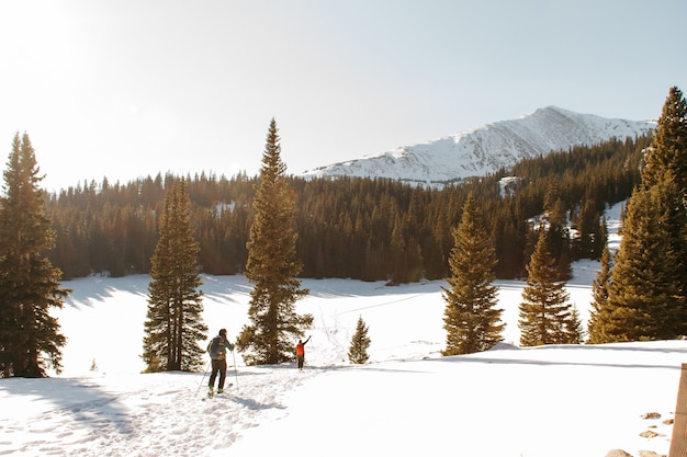 People walking on a snowy hill near trees with a snowy mountain and a clear sky