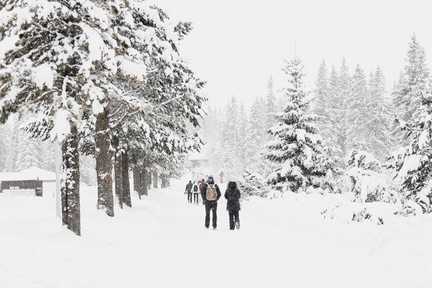 雪の多い森を歩いている人々