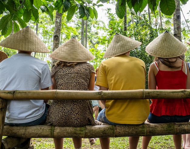 Persone che indossano cappelli conici asiatici seduti su una panchina di bambù