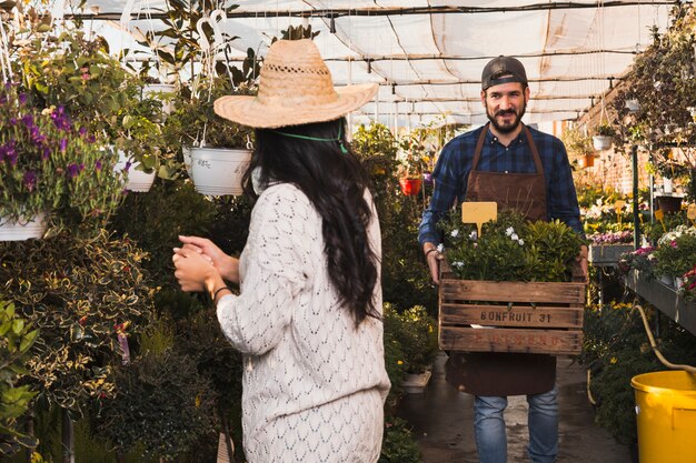 People working in greenhouse