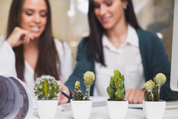 Люди, работающие за столом с кактусами