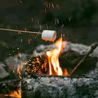 Foto gratuita persona che brucia marshmallow nel fuoco da campo
