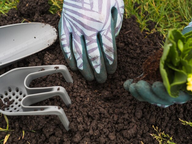 A person digging soil for planting seedlings