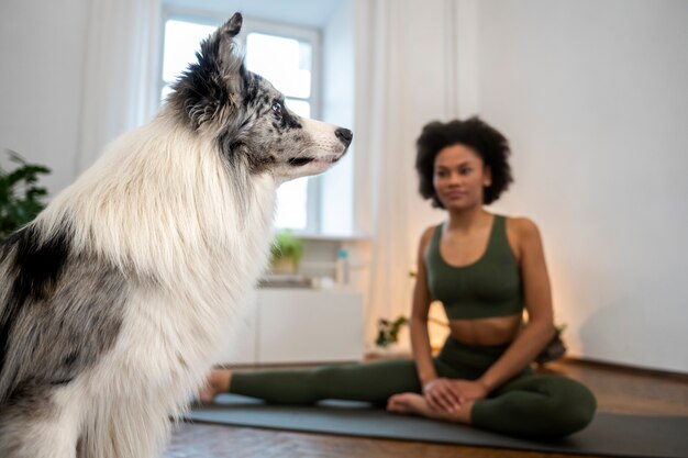 Holistic Dog Health