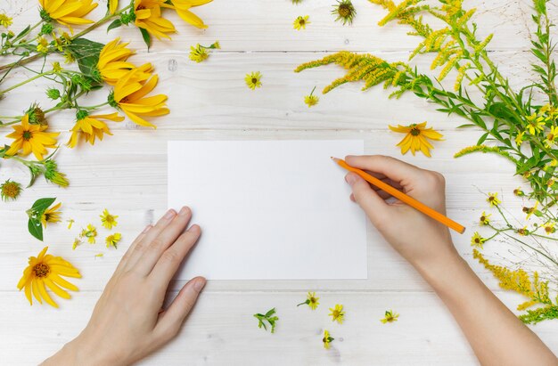 A person drawing on a white paper with an orange pencil near yellow flowers on a wooden surface