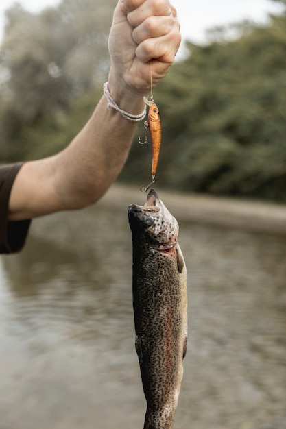 Person fishing a fish with a rod