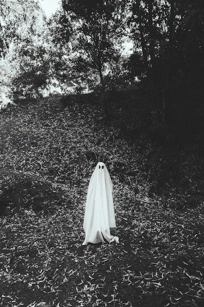 Person in ghost costume in park 