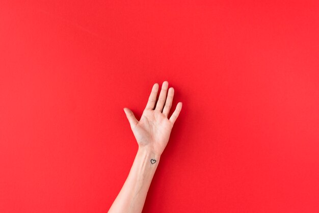 Person hand with heart symbol