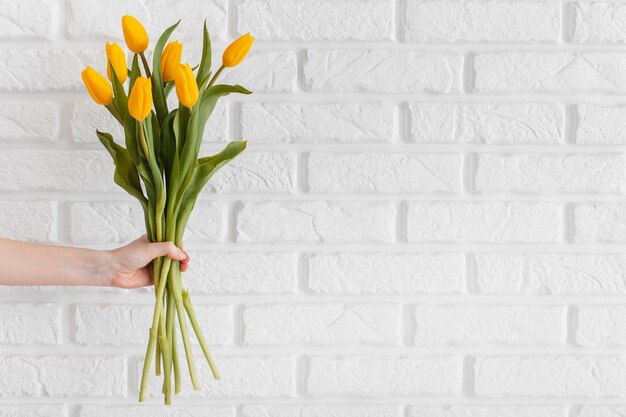 Person holding a bouquet of tulips with copy space