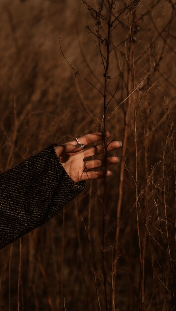 Person holding brown dried grass during daytime