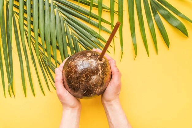Лицо, занимающее кокосовый напиток с соломой