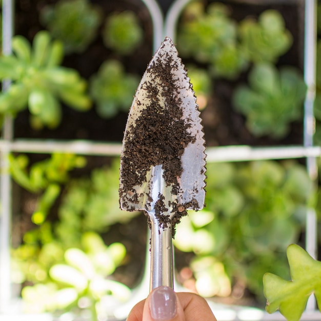 Person holding gardening tool close-up