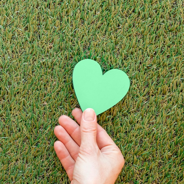 Человек держит зеленое сердце на траве