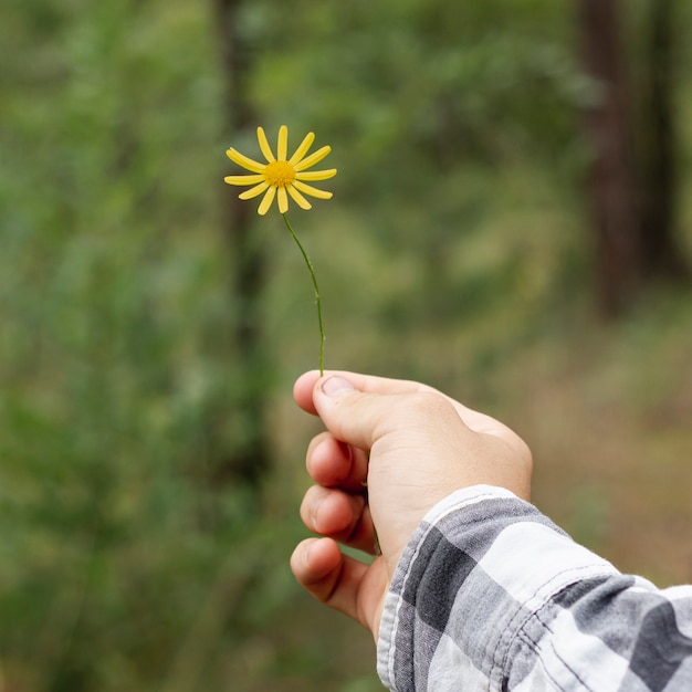 Person holding little yellow flower