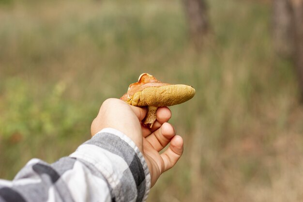 短いキノコの目のレベルショットを保持している人