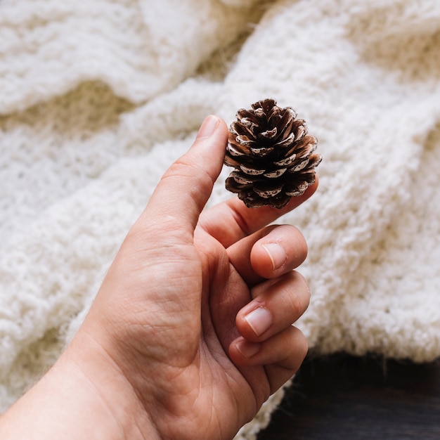 Person holding small cone in hand 