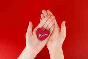 Free photo person holding small heart in hands