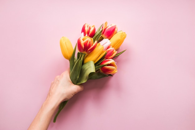 Person holding tulips bouquet in hand