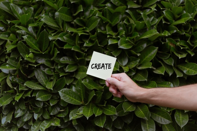 A person holding a white card with a Create print with the background of green Bay laurels