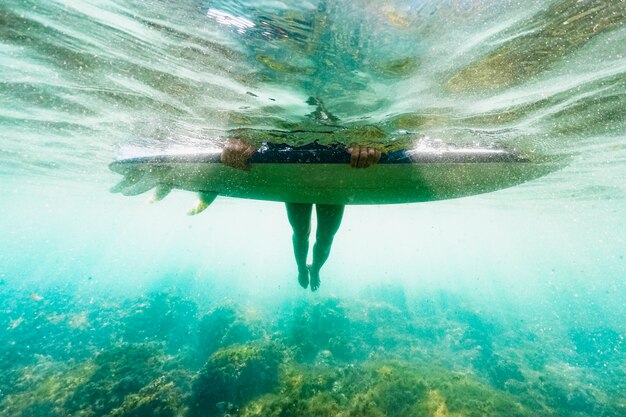 Dive In Island Escapades Unveiled