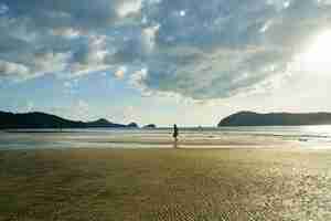 Free photo person in the middle of a deserted beach