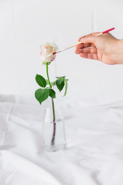 Человек рисует розу в вазе кистью