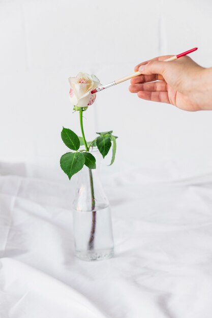 Person painting rose in vase with brush