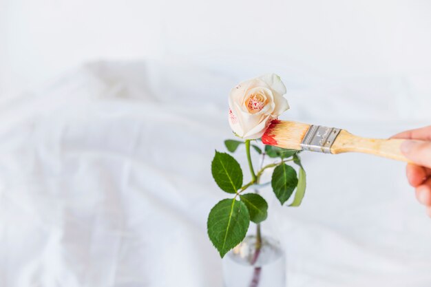 Лицо роспись розы с кистью на белом столе