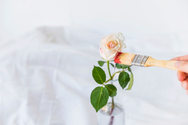 Person painting rose with brush on white table