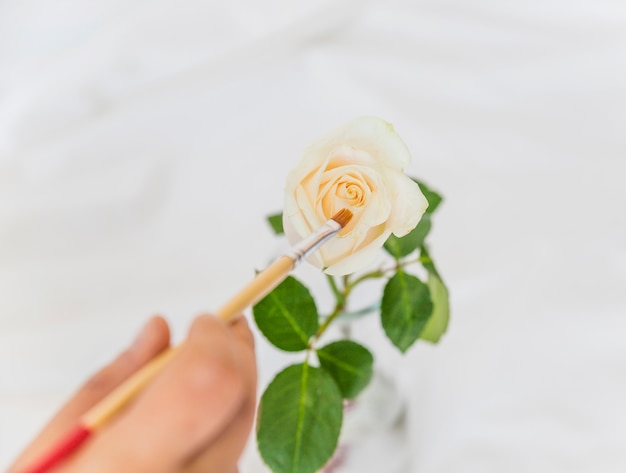 Person painting rose with brush 