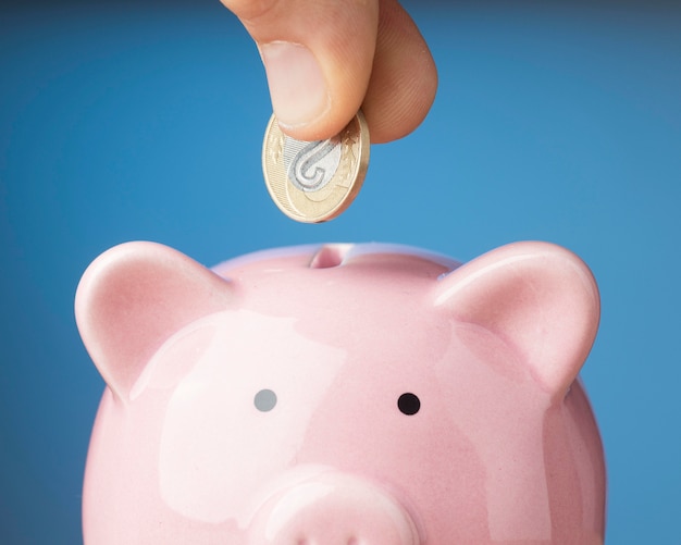 Person placing a coin in a piggy bank