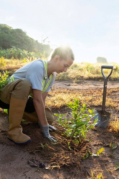 Person planting tree on the countryside