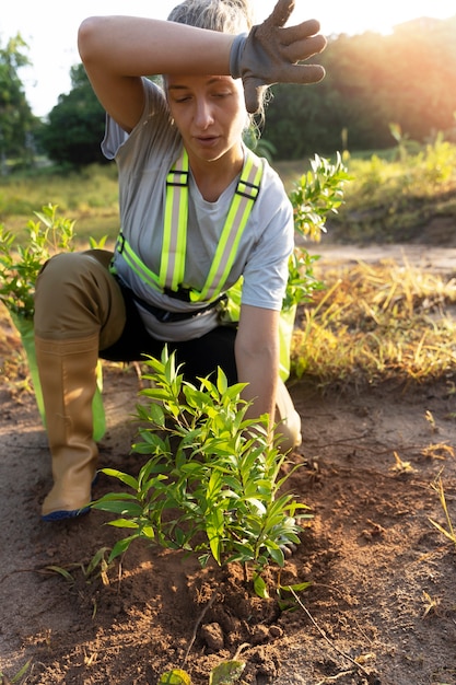 Person planting tree on the countryside