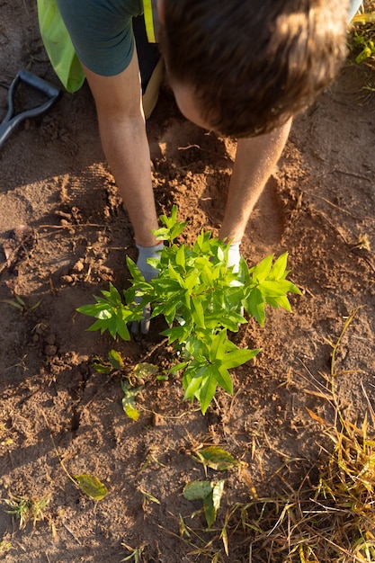 Person planting tree on the countryside