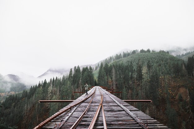 Person on railroad bridge