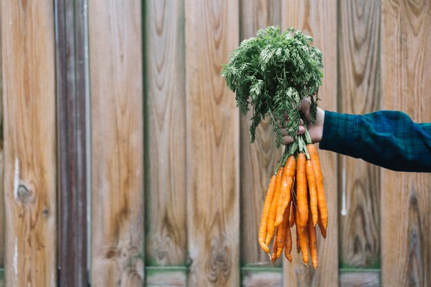 Рука человека, держащая кучу моркови перед деревянным фоном