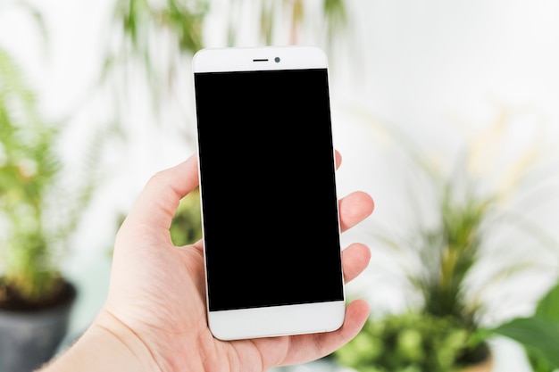 A person's hand holding smartphone