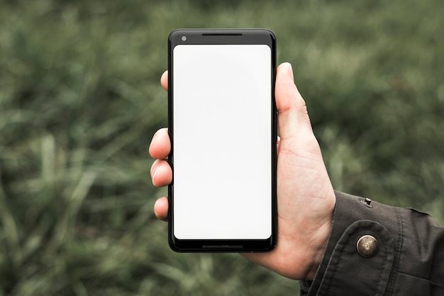 Рука человека показывая сотовый телефон с белым пустым экраном