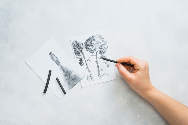 Person's hand sketching beautiful drawing with charcoal stick on white surface