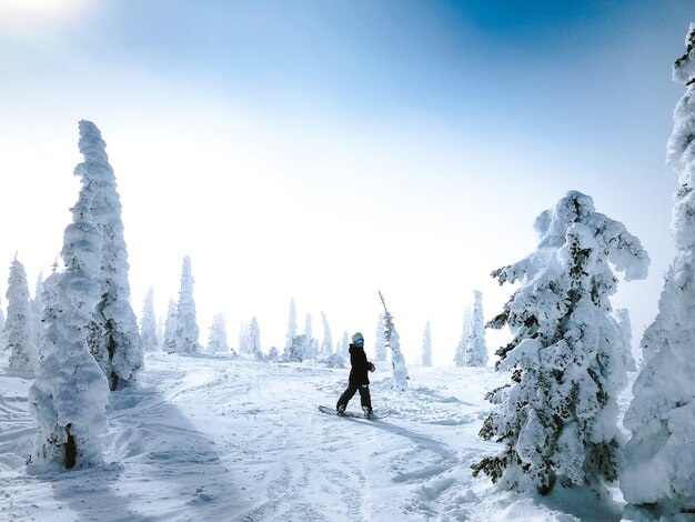 Person on a snowboard looking back on a snowy surface surrounded by trees
