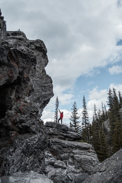 Person standing on rocky hill and raising right hand beside trees under white and gray skies